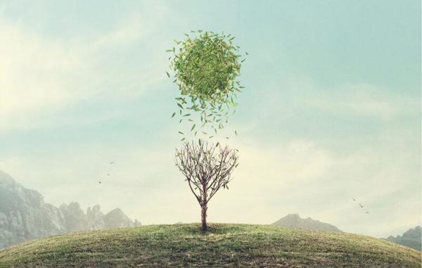 Lockdowns are No Substitute for Focused Protection